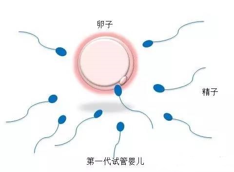 陈教授